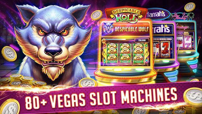 bet999 casino login